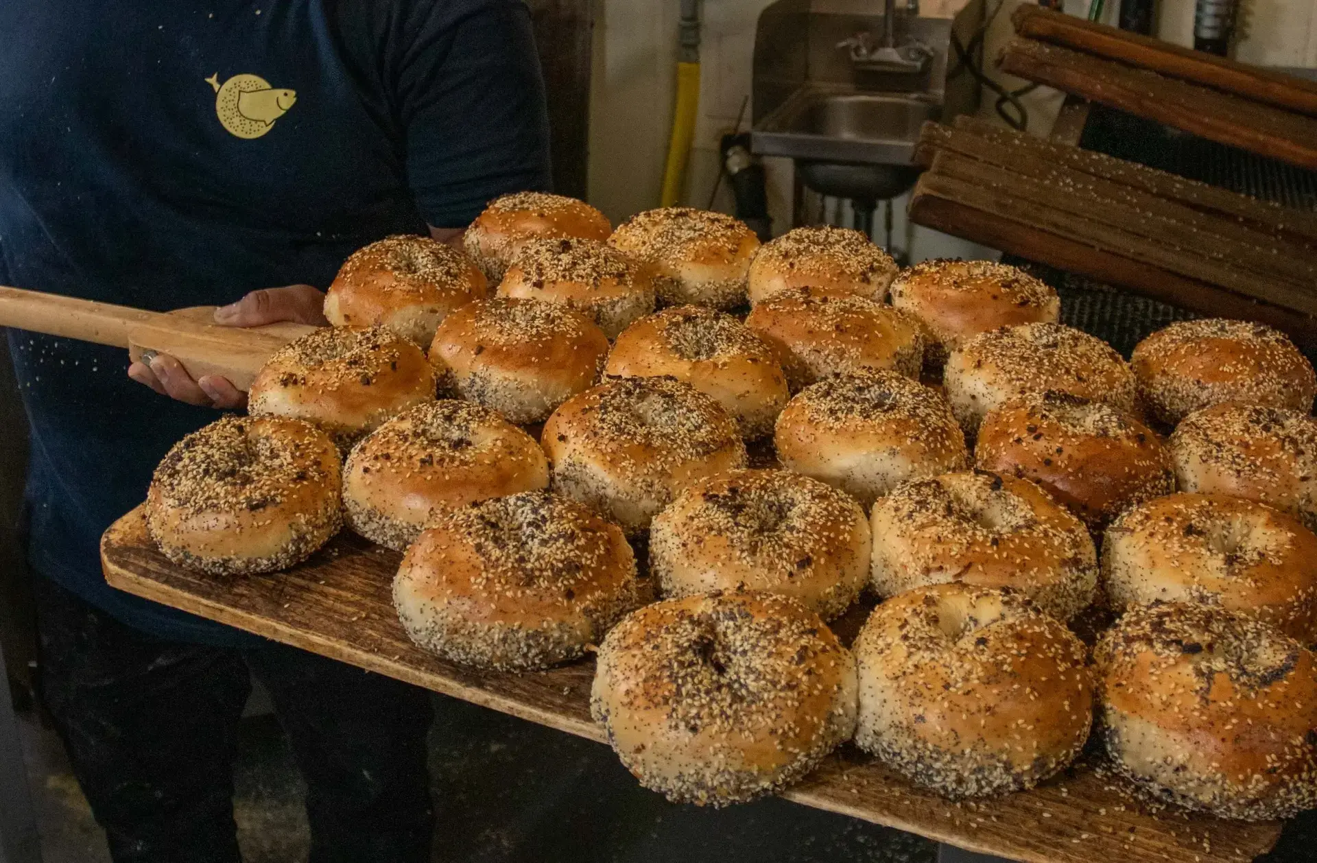Freshly baked Schlok's bagels